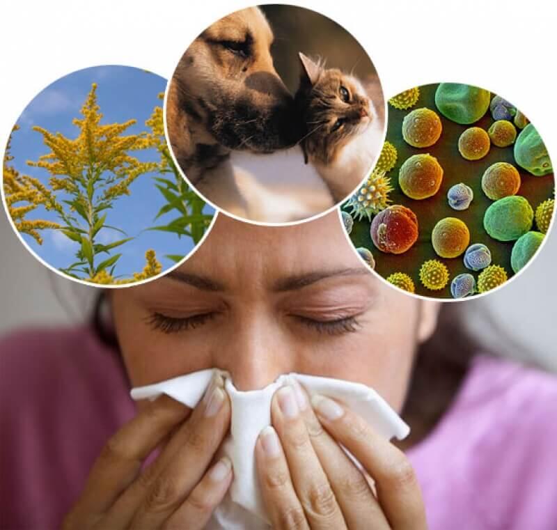 Алергія: причини, симптоми, лікування, діагностика та коли слід викликати лікаря