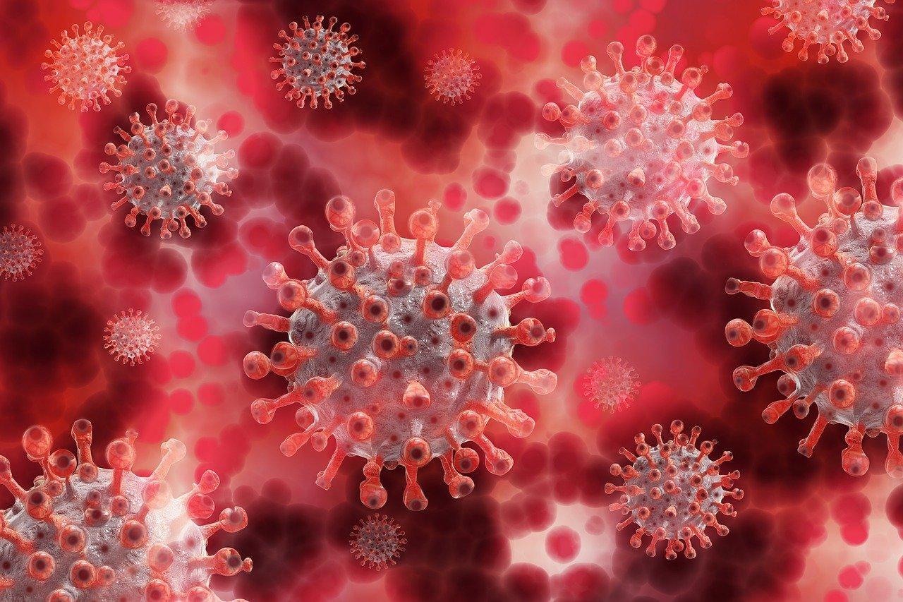 Vaccination against coronavirus disease in 2022