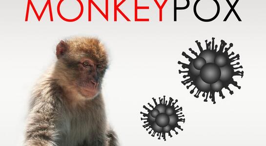 Что такое обезьянья оспа? Кто болеет, какие симптомы и как лечат болезнь
