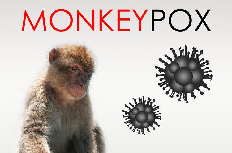 Что такое обезьянья оспа? Кто болеет, какие симптомы и как лечат болезнь