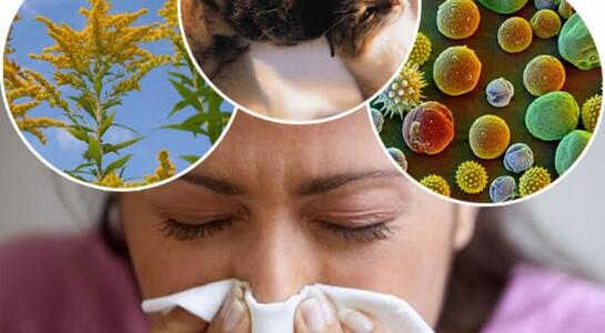 Аллергия: причины, симптомы, лечение, диагностика и когда следует вызвать врача
